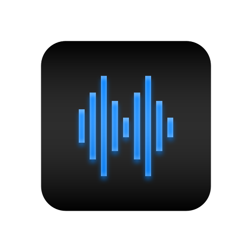 Recorder icon