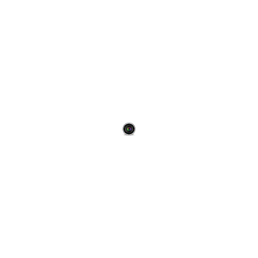 Isight icon
