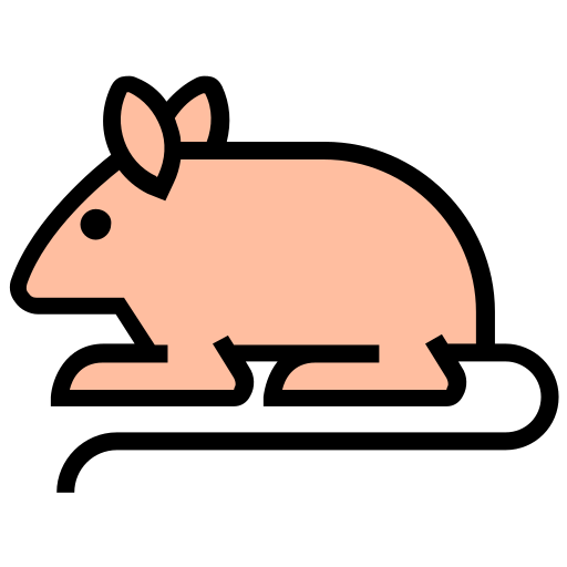 Corona, coronavirus, germs, infection, mouse, rat, virus icon