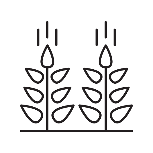 Seedlings, garden, agriculture, plant, farm icon