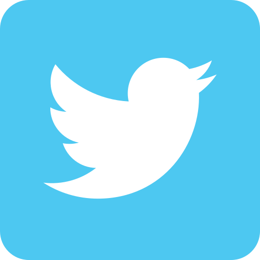 Communication, connection, global, media, networking, social, twitter icon