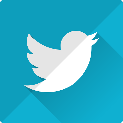 Bird, internet, twitter, communication, connection, media, network icon