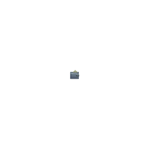 Money, wallet icon
