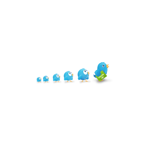 Birds, twitter icon