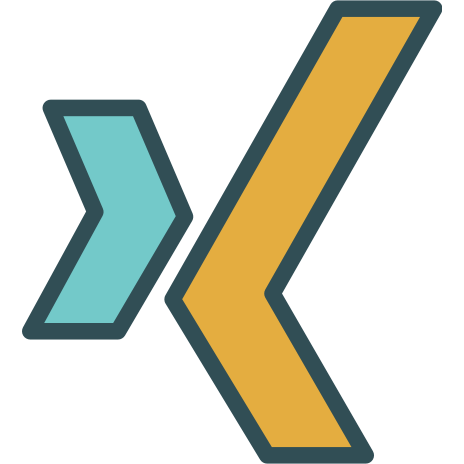 Brand, logo, network, social, xing icon