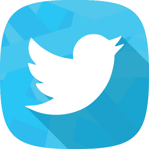 Twitter, social network icon