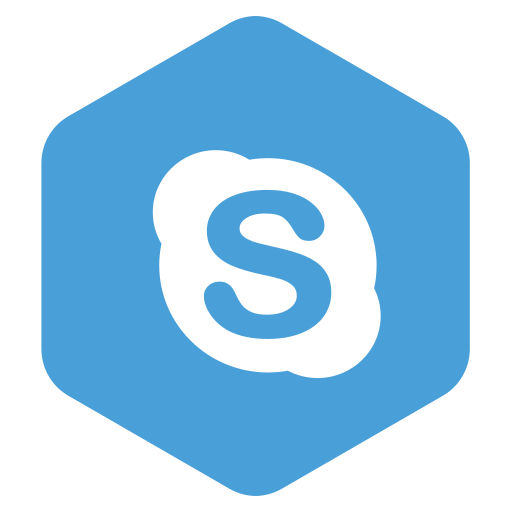 Media, network, skype, social icon