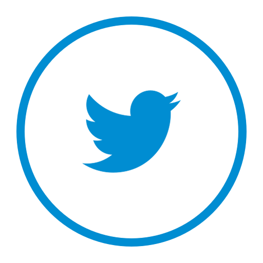 Circle, twitter, media, social, network icon