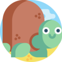 animals,wild life,animal kingdom,zoo,aquarium,sea life,aquatic,turtle