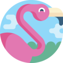 animals,summer,tropical,bird,animal,season,flamingo