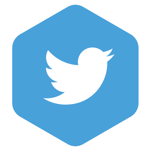 Logo, media, network, social, twitter icon