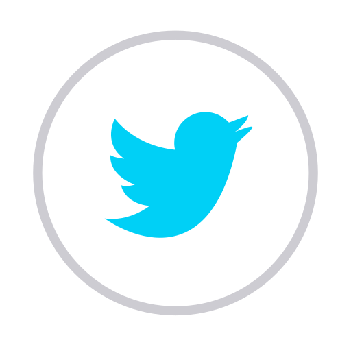Internet, media, network, social, twitter icon