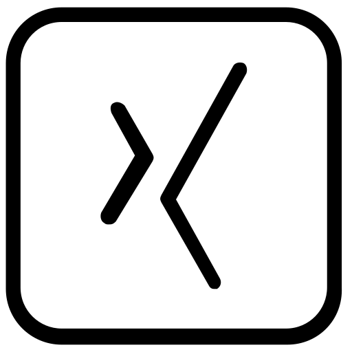 Media, network, social, xing icon