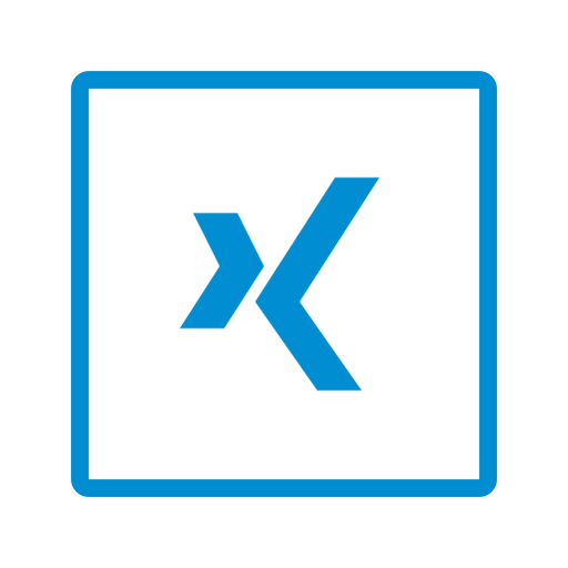 Square, xing, connection, media, network, social, squared icon