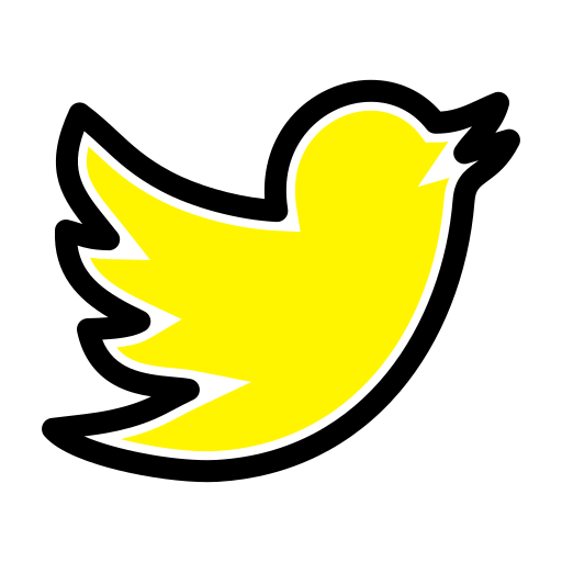 Network, social, twitter icon