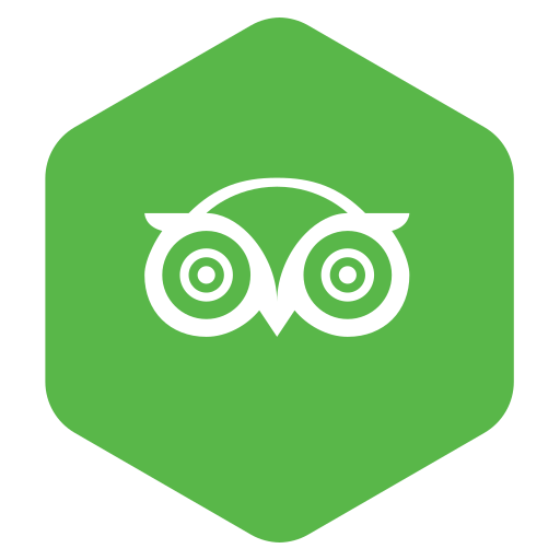 Logo, network, owl icon