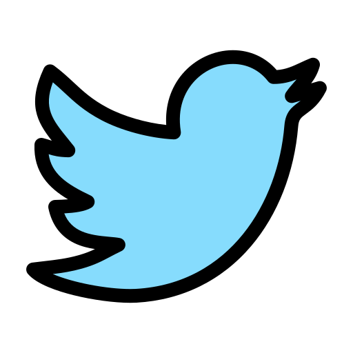 Network, social, twitter icon