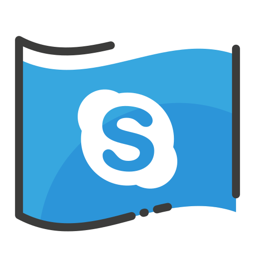 Media, network, skype, social icon
