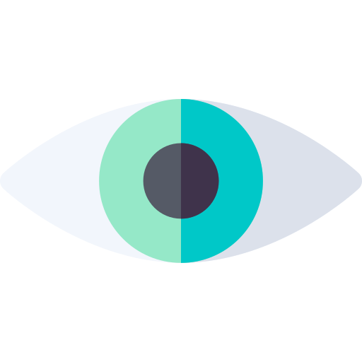 Vision