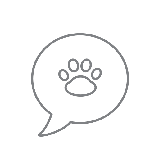 Chat, message, cat, paw icon