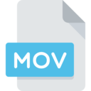 file,document,files and folders,format,extension,mov