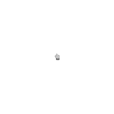 007 icon