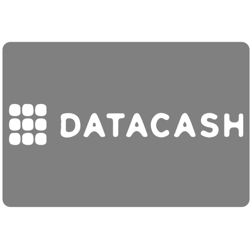 Datacash, payment, data, cash, methods icon