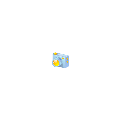 Camera, digital icon