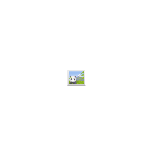 Photo icon