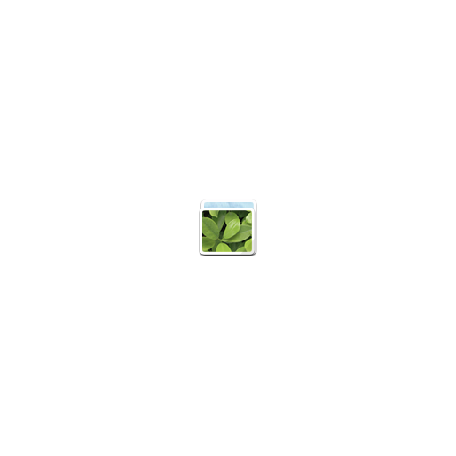 Picture icon