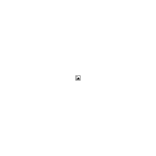 Image, photo icon