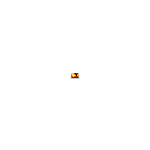 Photo, picture icon