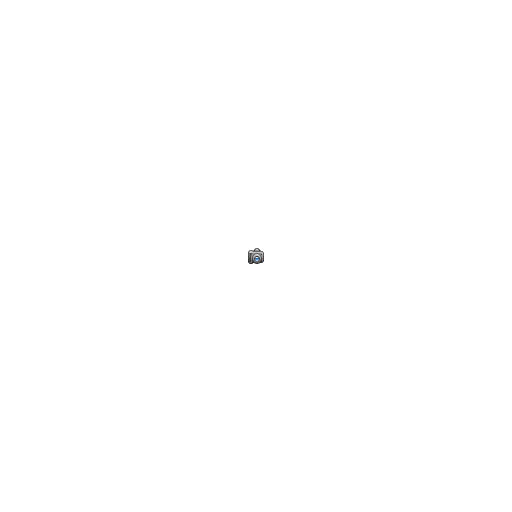 Camera, photo icon