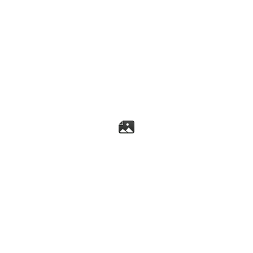 Illustration, image, photo icon