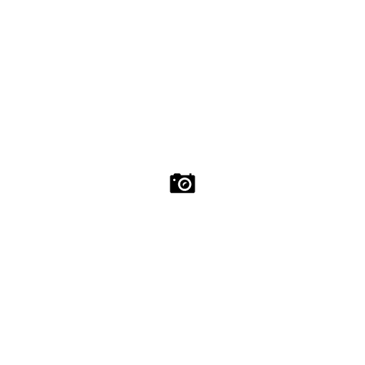 Camera, photo icon