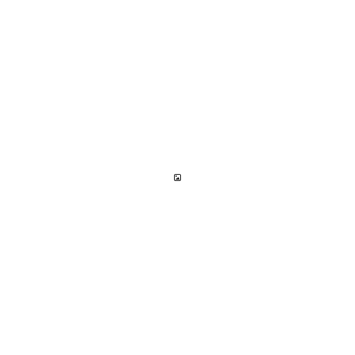 Photo icon