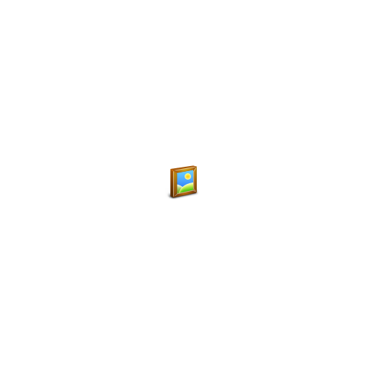 Picture icon