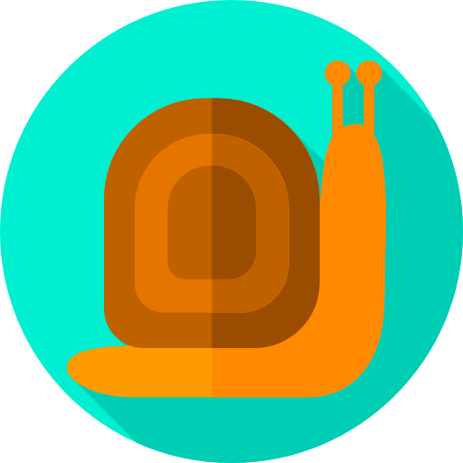 Snail