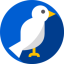 animals,peace,bird,pigeon,dove