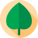 nature,plant,botanical,holidays,leaf,leaves,garden