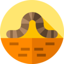 animals,animal kingdom,insect,worm ok 