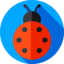 animals,bug,animal kingdom,insect,ladybug