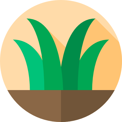 Grass