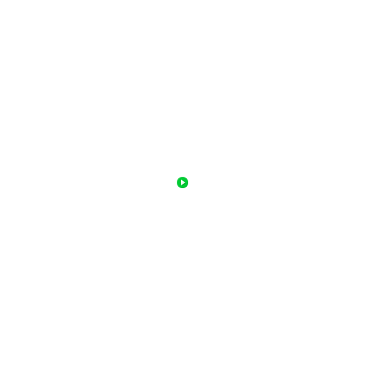 Play icon