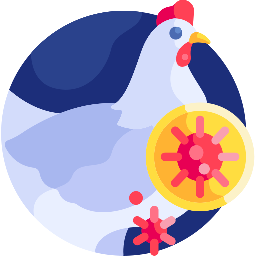 Hen