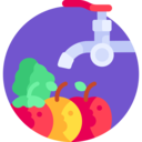 vegan,food and restaurant,vegetarian,wash,fruit ok 