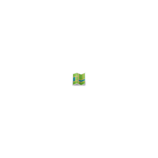 Map icon