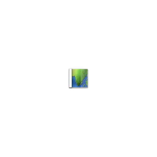Map icon