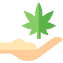 nature,hand,plant,botanical,farming and gardening,agriculture,harvest,drug,Weed,Cannabis,Marijuana