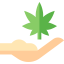 Cannabis icon 64x64